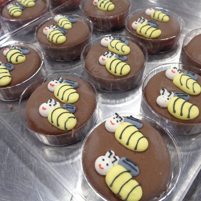 Chocolate Covered Oreo 🌍"Bumble Bee's" Box of 24 - Bear Creek Candy Kitchen