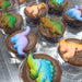 🦖Chocolate Covered Oreo "Dinosaur" 🍪🦕 Box of 24 - Bear Creek Candy Kitchen