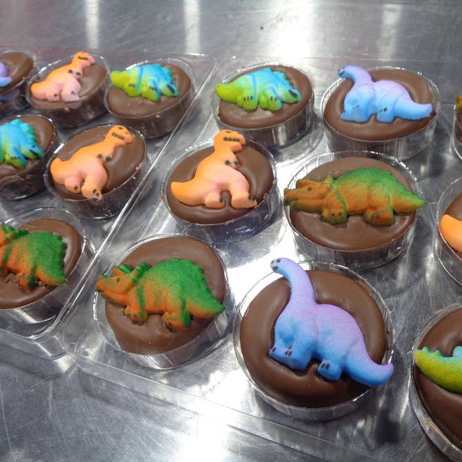 🦖Chocolate Covered Oreo "Dinosaur" 🍪🦕 Box of 24 - Bear Creek Candy Kitchen