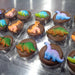 🦖Chocolate Covered Oreo "Dinosaur" 🍪🦕 Box of 24 - Bear Creek Candy Kitchen