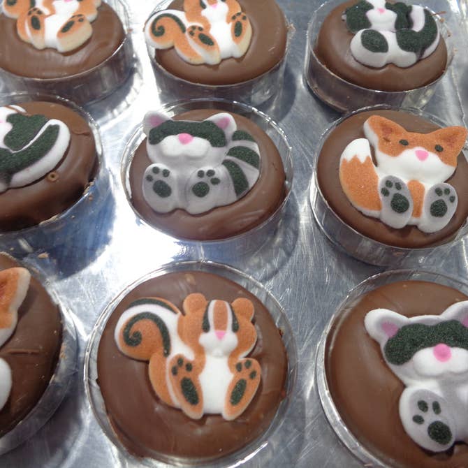 🦌Chocolate Covered Oreo “Forest Animals” 🦉 Box of 24 - Bear Creek Candy Kitchen