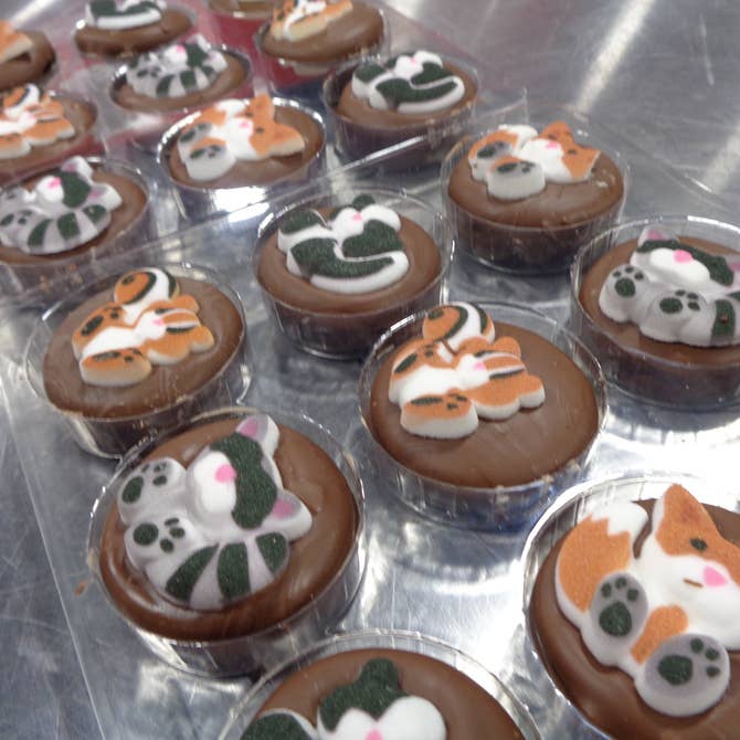 🦌Chocolate Covered Oreo “Forest Animals” 🦉 Box of 24 - Bear Creek Candy Kitchen