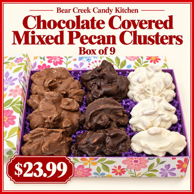 Chocolate Covered Mixed Pecan Clusters Box of 9 from Bear Creek Candy Kitchen — $23.99