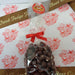 Chocolate Covered Raisins🍫 1 LB Bags - Bear Creek Candy Kitchen