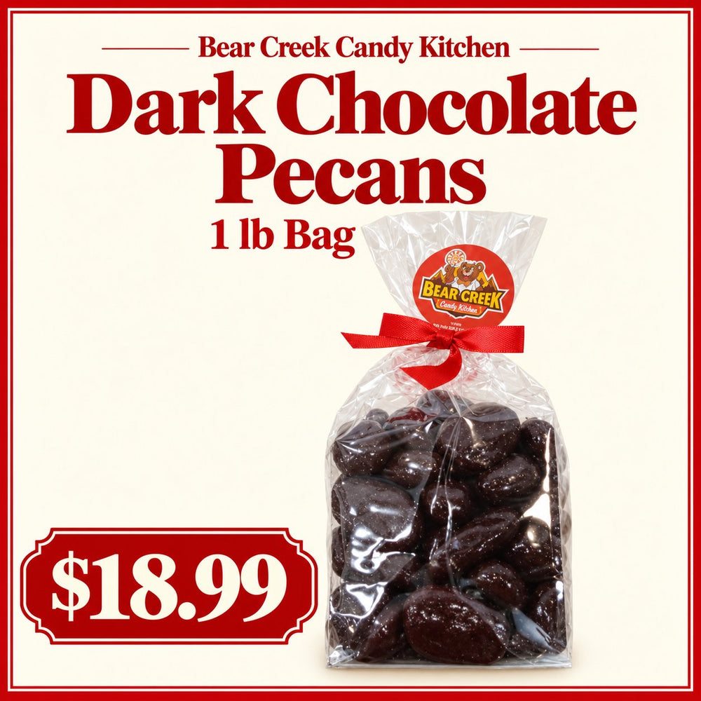 Dark Chocolate Pecans — 1 lb Bag — $18.99 — Bear Creek Candy Kitchen