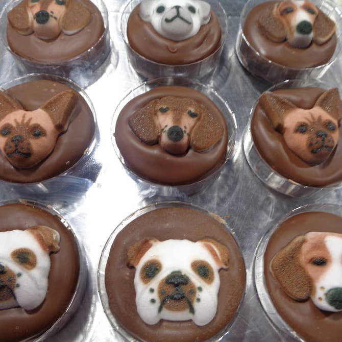 🐕Milk Chocolate Oreo "Dog"🐾 Box of 24 - Bear Creek Candy Kitchen