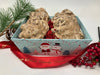 Pecan Pralines Holiday Tray — 8 Pieces - Bear Creek Candy Kitchen
